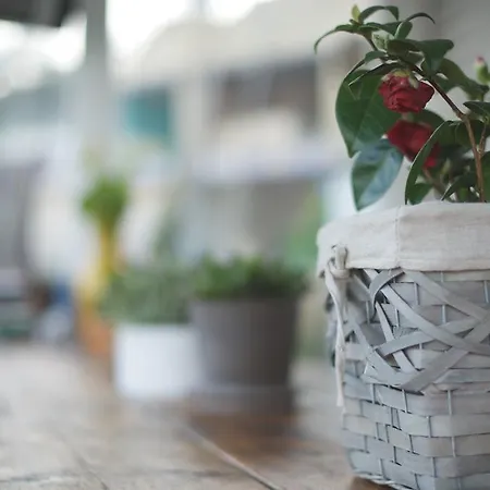 Bagni Vittoria Bed and breakfast Vasto